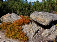 Felsklötze umgeben von leuchtenden Sträuchern